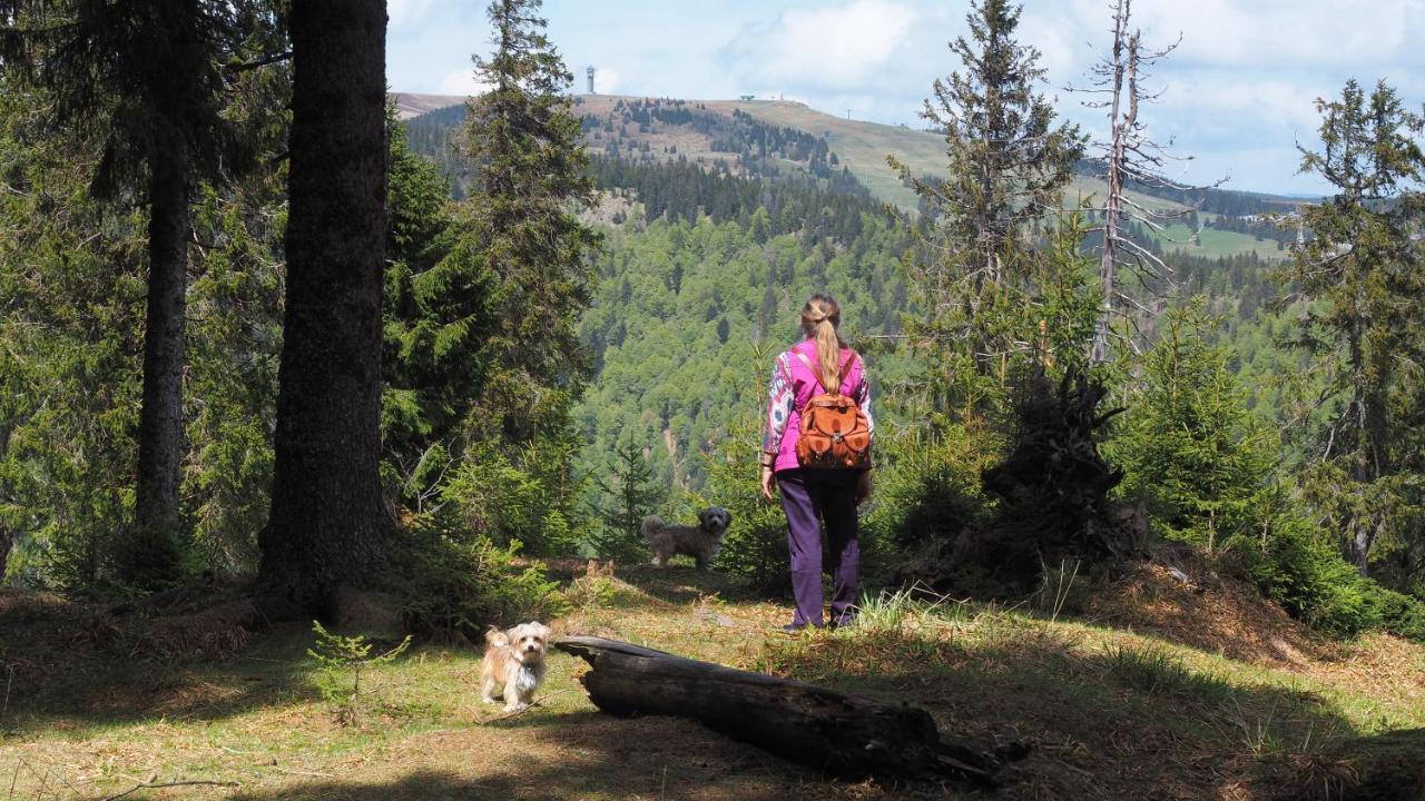 B1 Albmatte-Fewo Sauna, Hallenbad Aussenbecken Massagen Nebenan เมนเซนชวานด์ ภายนอก รูปภาพ