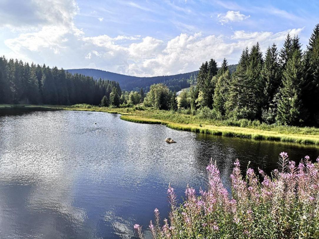 B1 Albmatte-Fewo Sauna, Hallenbad Aussenbecken Massagen Nebenan เมนเซนชวานด์ ภายนอก รูปภาพ