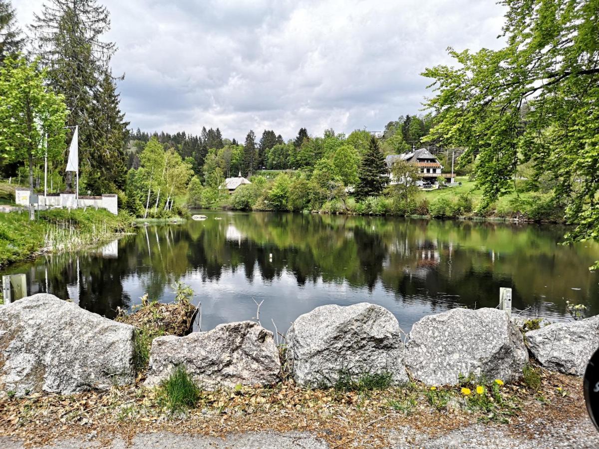 B1 Albmatte-Fewo Sauna, Hallenbad Aussenbecken Massagen Nebenan เมนเซนชวานด์ ภายนอก รูปภาพ