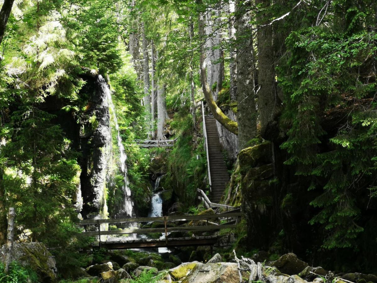 B1 Albmatte-Fewo Sauna, Hallenbad Aussenbecken Massagen Nebenan เมนเซนชวานด์ ภายนอก รูปภาพ