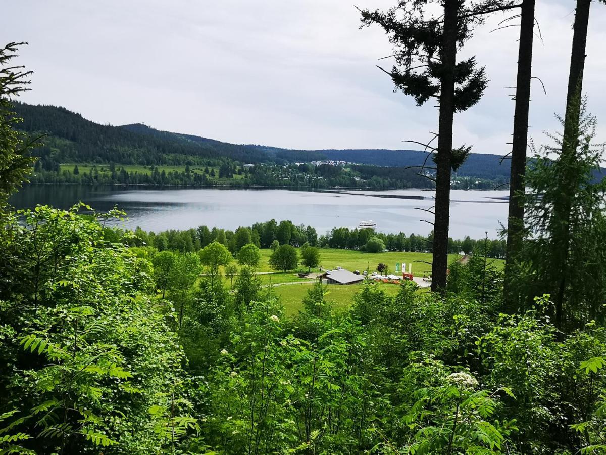 B1 Albmatte-Fewo Sauna, Hallenbad Aussenbecken Massagen Nebenan เมนเซนชวานด์ ภายนอก รูปภาพ