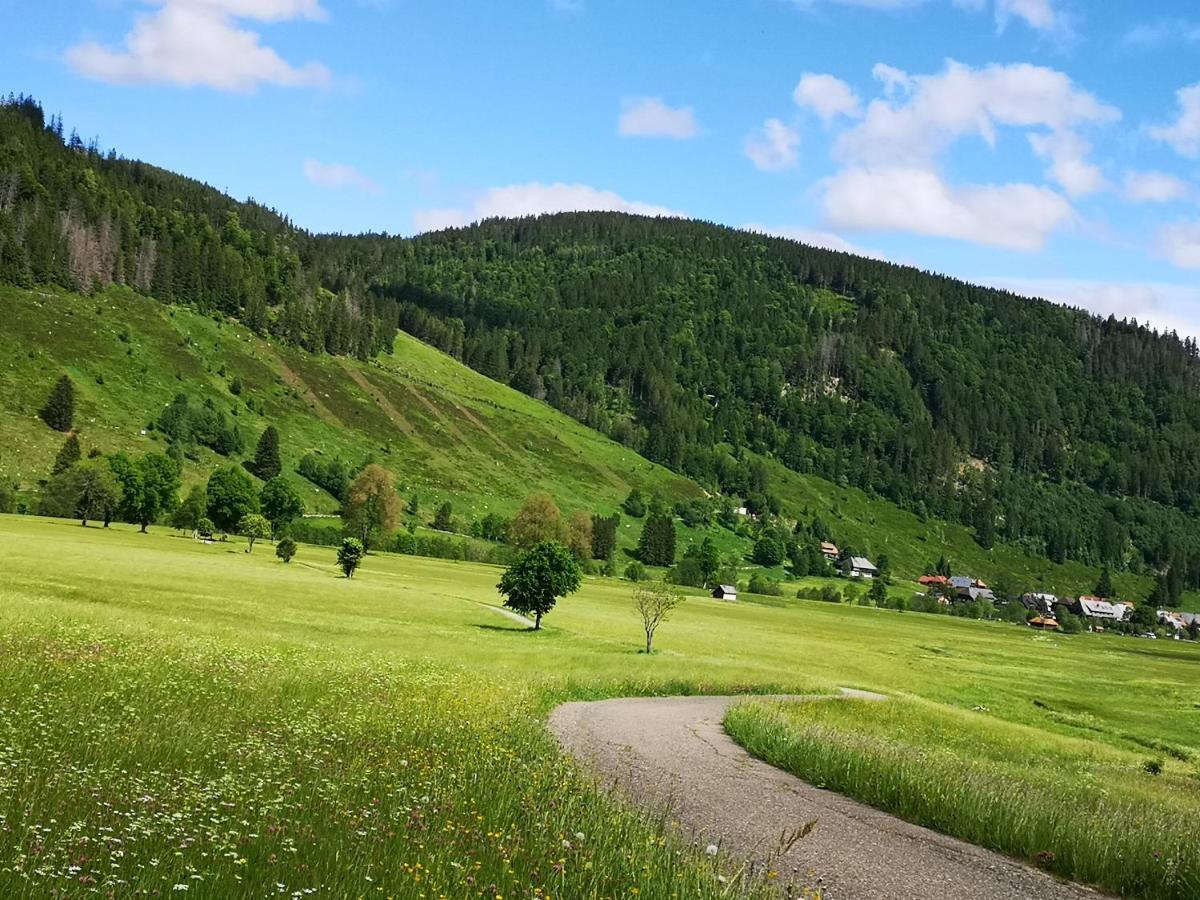 B1 Albmatte-Fewo Sauna, Hallenbad Aussenbecken Massagen Nebenan เมนเซนชวานด์ ภายนอก รูปภาพ
