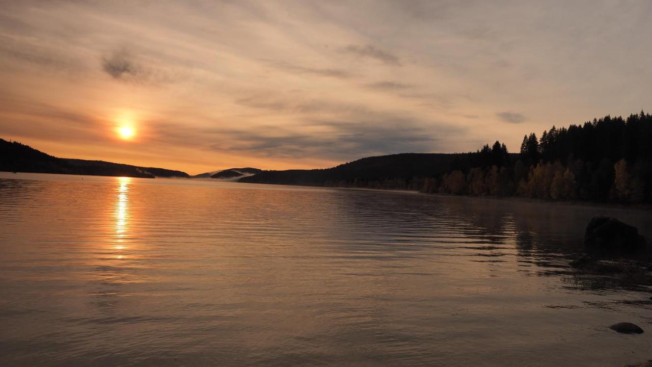 B1 Albmatte-Fewo Sauna, Hallenbad Aussenbecken Massagen Nebenan เมนเซนชวานด์ ภายนอก รูปภาพ