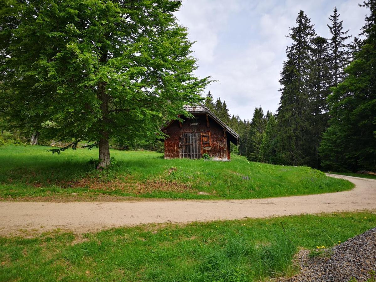 B1 Albmatte-Fewo Sauna, Hallenbad Aussenbecken Massagen Nebenan เมนเซนชวานด์ ภายนอก รูปภาพ