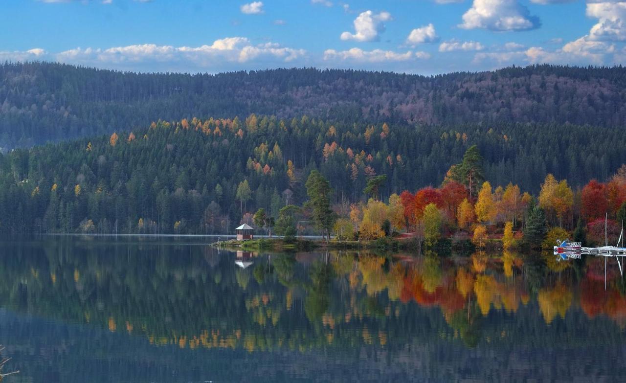 B1 Albmatte-Fewo Sauna, Hallenbad Aussenbecken Massagen Nebenan เมนเซนชวานด์ ภายนอก รูปภาพ