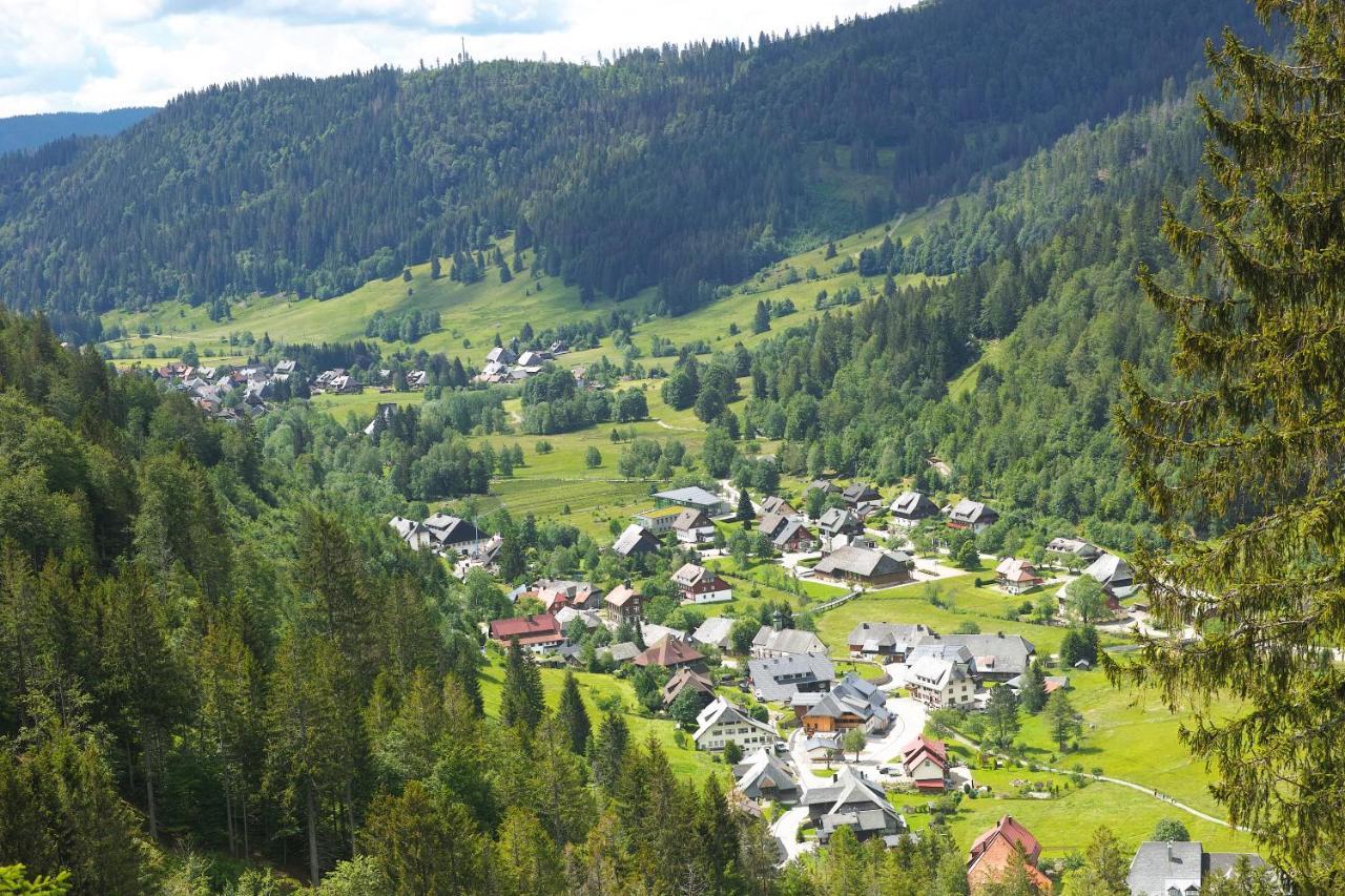 B1 Albmatte-Fewo Sauna, Hallenbad Aussenbecken Massagen Nebenan เมนเซนชวานด์ ภายนอก รูปภาพ