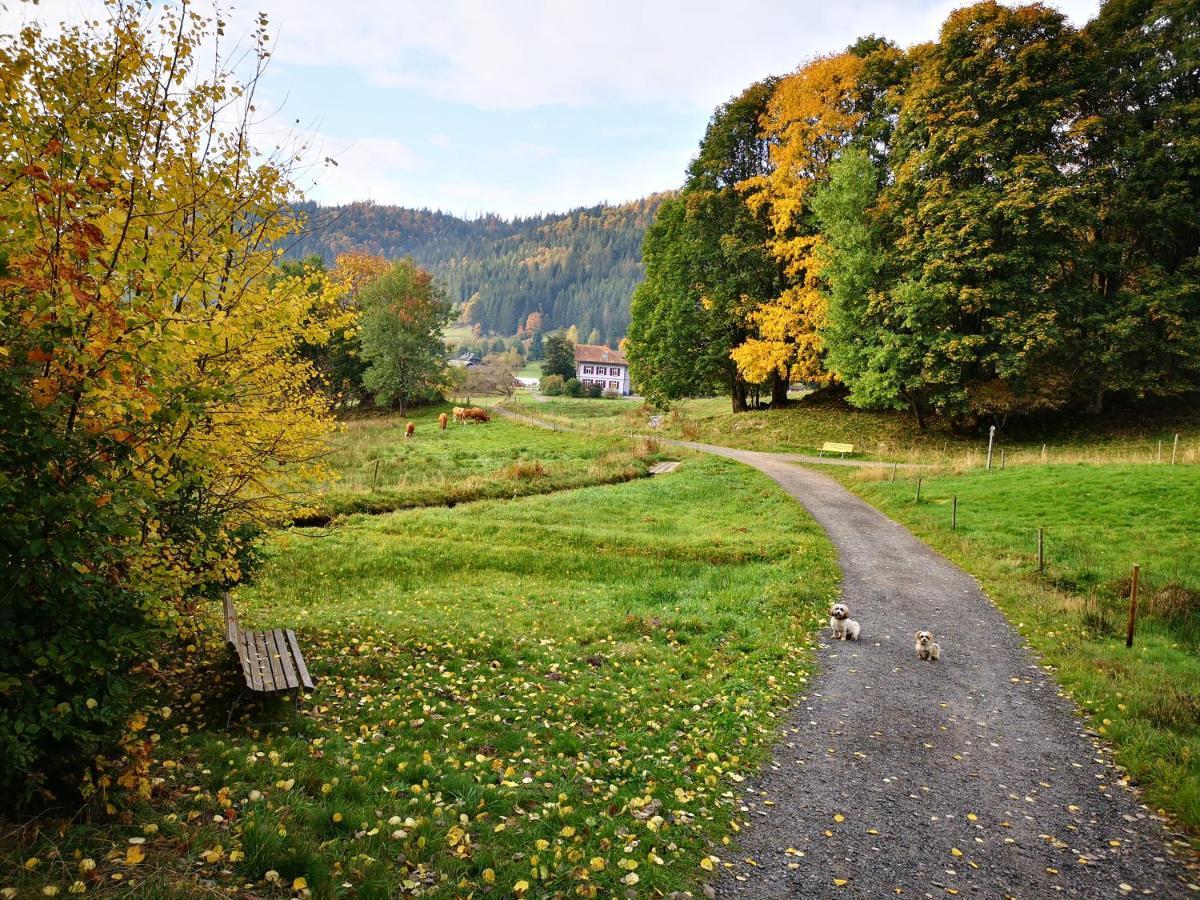 B1 Albmatte-Fewo Sauna, Hallenbad Aussenbecken Massagen Nebenan เมนเซนชวานด์ ภายนอก รูปภาพ