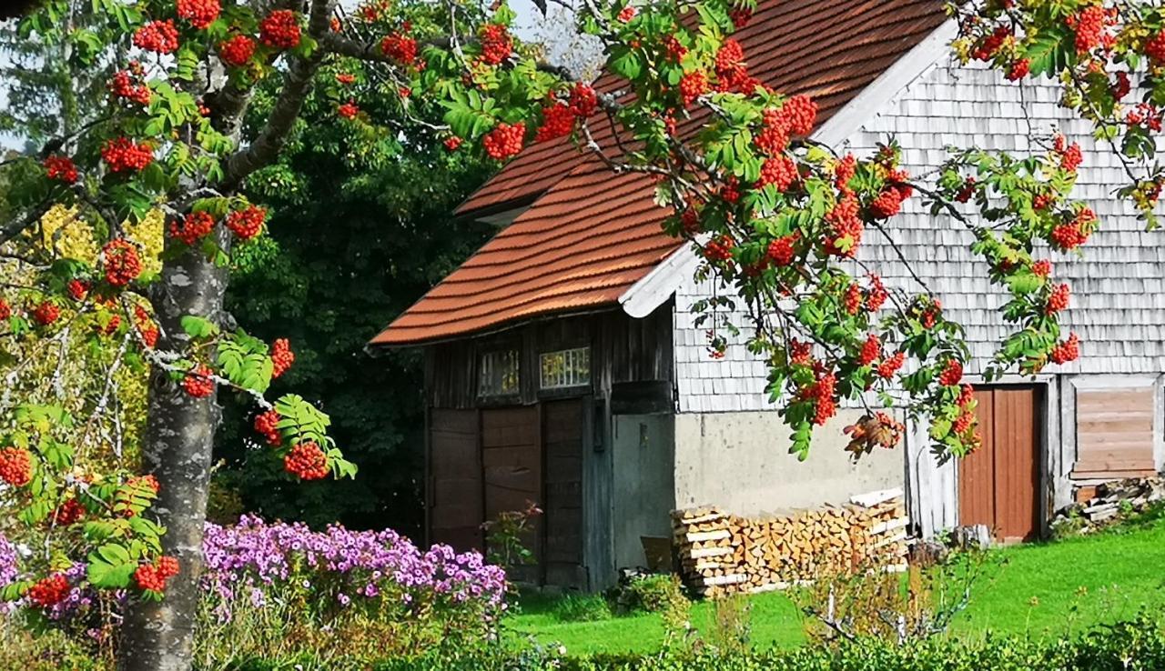 B1 Albmatte-Fewo Sauna, Hallenbad Aussenbecken Massagen Nebenan เมนเซนชวานด์ ภายนอก รูปภาพ