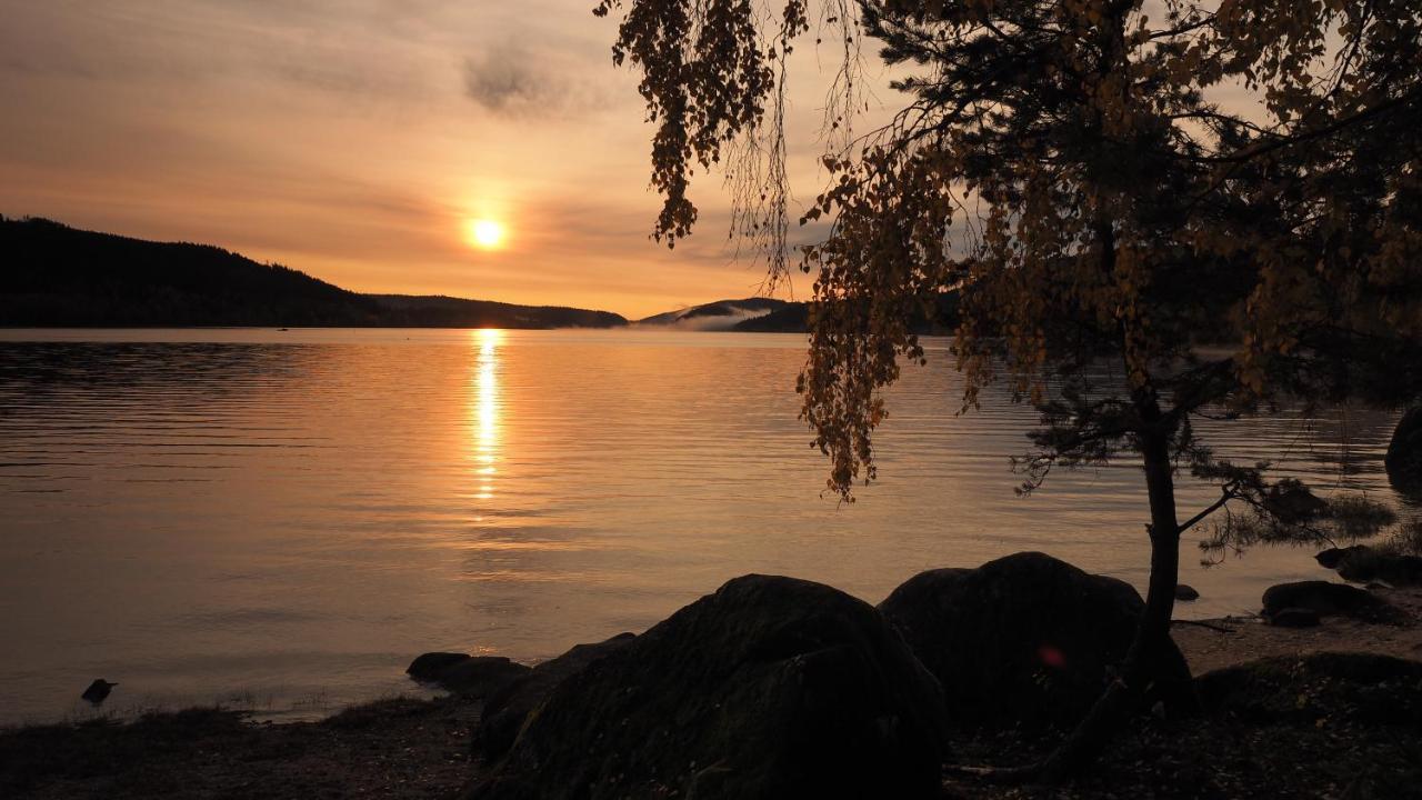 B1 Albmatte-Fewo Sauna, Hallenbad Aussenbecken Massagen Nebenan เมนเซนชวานด์ ภายนอก รูปภาพ