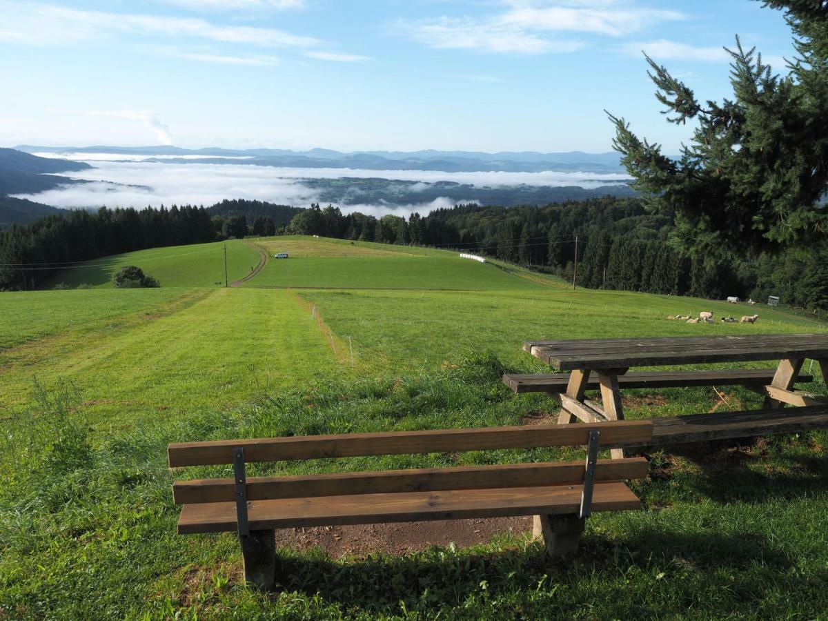 B1 Albmatte-Fewo Sauna, Hallenbad Aussenbecken Massagen Nebenan เมนเซนชวานด์ ภายนอก รูปภาพ