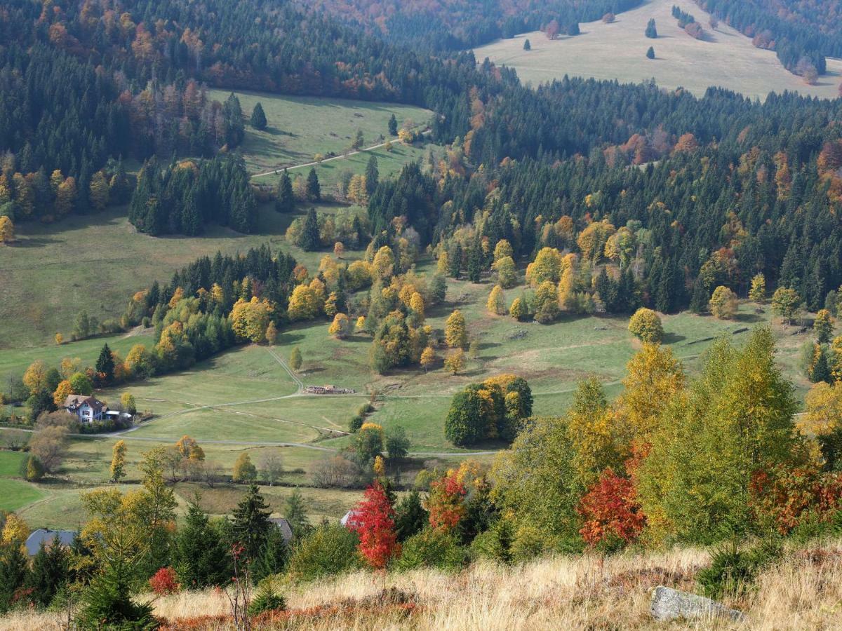 B1 Albmatte-Fewo Sauna, Hallenbad Aussenbecken Massagen Nebenan เมนเซนชวานด์ ภายนอก รูปภาพ