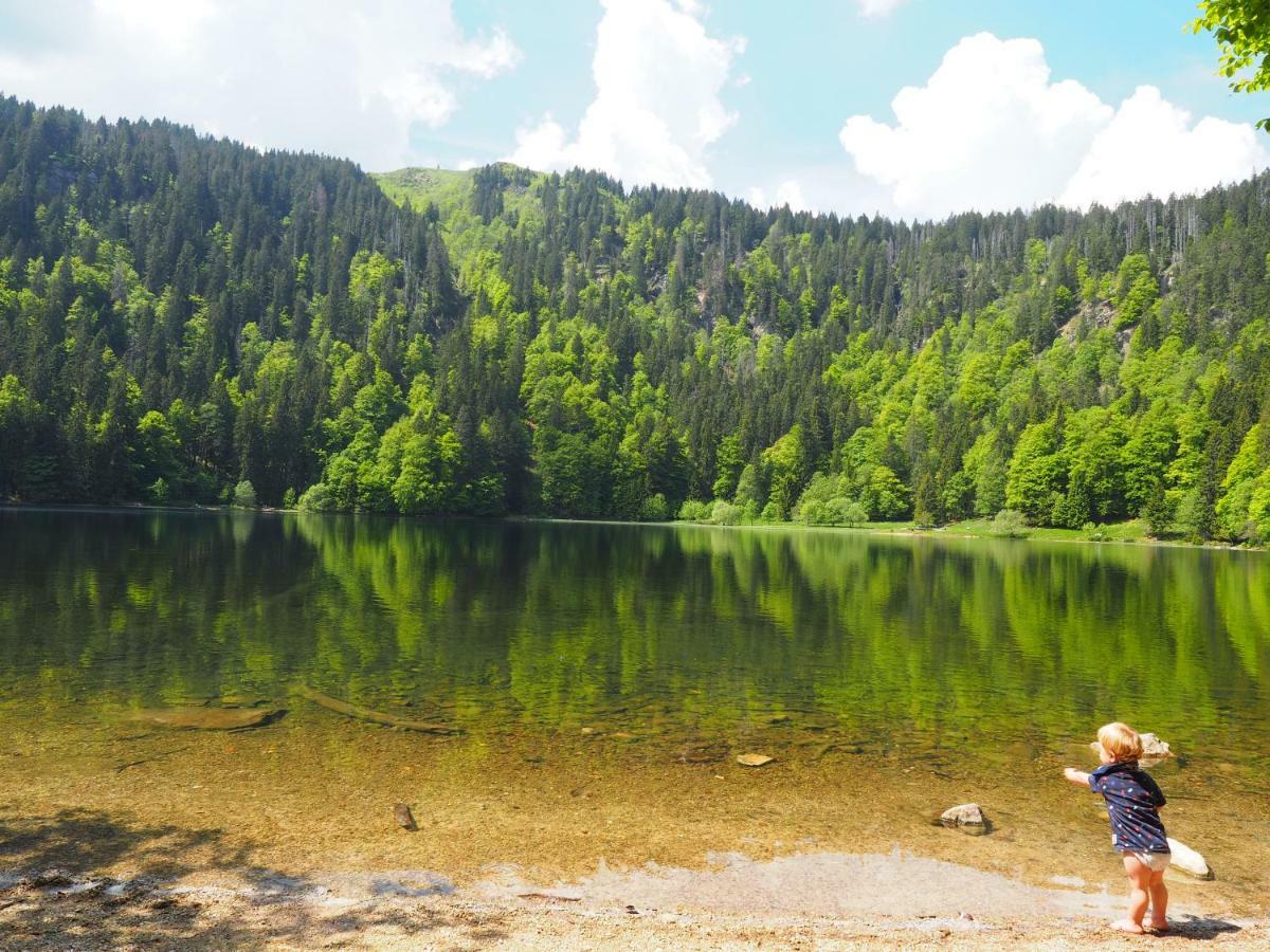 B1 Albmatte-Fewo Sauna, Hallenbad Aussenbecken Massagen Nebenan เมนเซนชวานด์ ภายนอก รูปภาพ