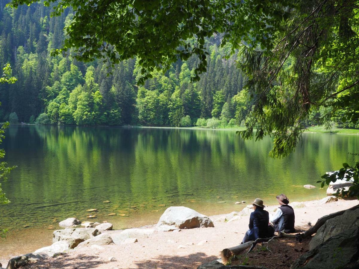 B1 Albmatte-Fewo Sauna, Hallenbad Aussenbecken Massagen Nebenan เมนเซนชวานด์ ภายนอก รูปภาพ