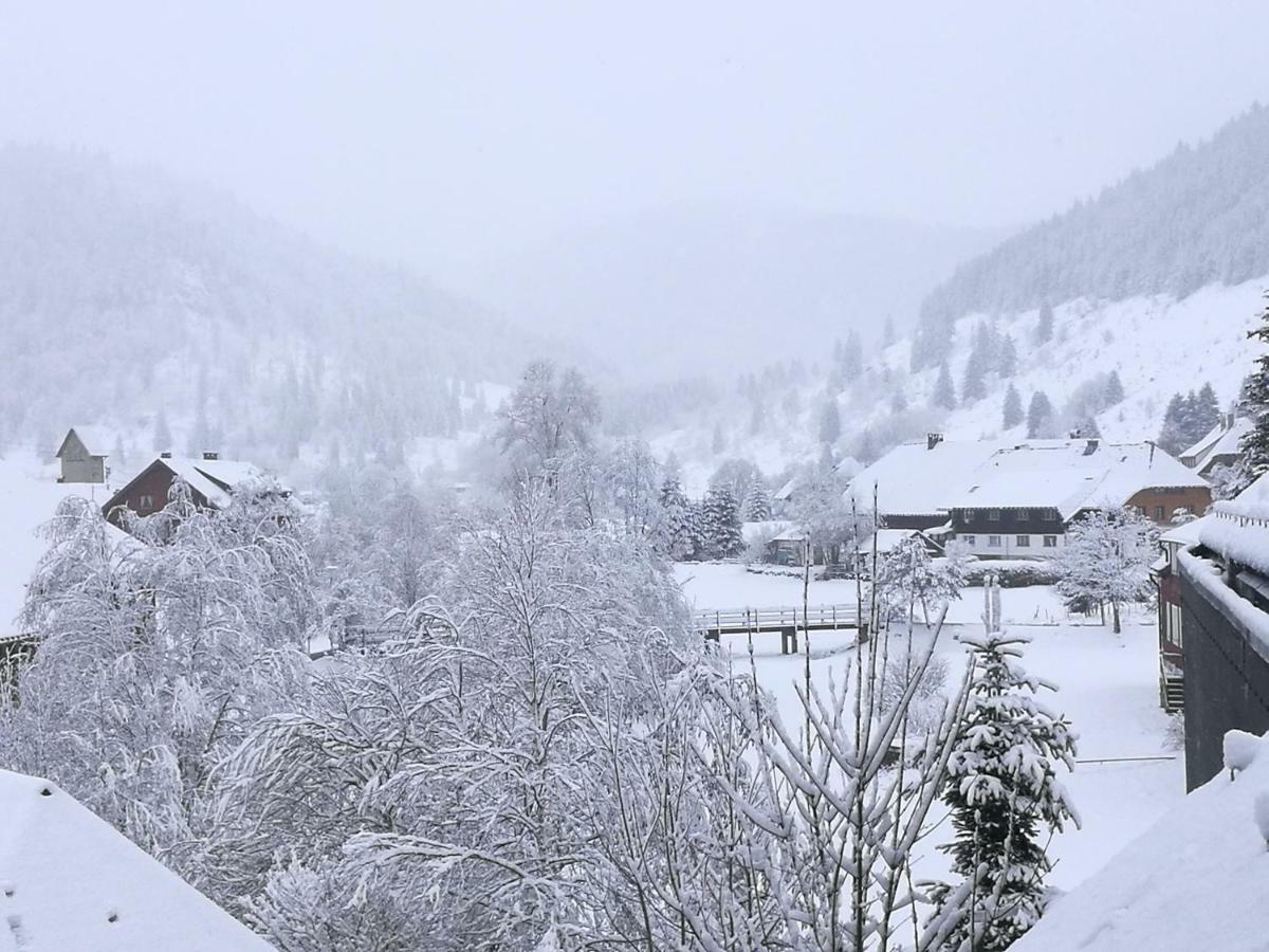 B1 Albmatte-Fewo Sauna, Hallenbad Aussenbecken Massagen Nebenan เมนเซนชวานด์ ภายนอก รูปภาพ